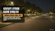 Erzurum Tekman'da Kavgayı Ayırmak İsteyen 71 Yaşındaki Kadın Hayatını Kaybetti, 3 Kişi Gözaltında