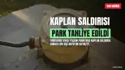 Yorkshire Vahşi Yaşam Parkı'nda Kaplan Saldırısı Sonucu Bir Kişi Hayatını Kaybetti