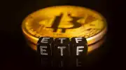 ABD Bitcoin ETF'lerinden Dört Haftayı Aşan Çıkışlar Devam Ediyor
