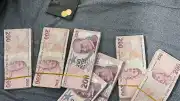 FETÖ'nün Eğitim Yapılanmasına Yönelik Operasyonda 81 Şüpheli Yakalandı
