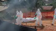 Fransa Sağlık Bakanlığı: "Ülke topraklarında ilk Ebola virüsü vakasının tespit edildi"