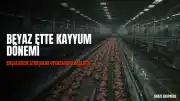 İstanbul Cumhuriyet Başsavcılığı: Stokçuluğu önlemek amacıyla beyaz et sektörüne kayyum atadık