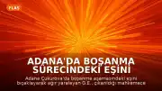 Adana'da Boşanma Sürecindeki Eşini Bıçaklayarak Ağır Yaralayan Şahıs Tutuklandı