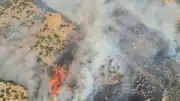 Denizli Pamukkale'de Orman Yangını Çıktı