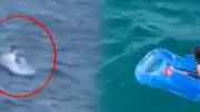 Didim Açıklarında Deniz Yatağıyla Sürüklenen Çocuk Sahil Güvenlik Tarafından Kurtarıldı
