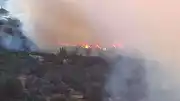 İzmir'de Homeros Vadisi Yakınlarında Orman Yangını Kontrol Altına Alındı