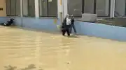 Kastamonu'da Şiddetli Yağış Sel Felaketine Yol Açtı: Tahliyeler Gerçekleştirildi