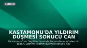 Kastamonu'da Yıldırım Düşmesi Sonucu Can Kaybı