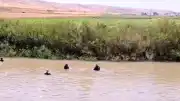 Muş Bulanık'ta Kocasu Çayı'na Düşen Kardeşlerden Biri Hayatını Kaybetti, Diğeri Aranıyor