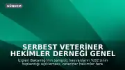 Serbest Veteriner Hekimler Derneği Genel Başkanı Bilsay Kanat: "Bize kaçını topladığınızı değil, kaçını yaşattığınızı söyleyin"