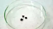 Sivas'ta KKKA Hastalığı Nedeniyle Bir Kadın Hayatını Kaybetti