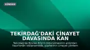 Tekirdağ'daki Cinayet Davasında Kan Donduran Detay: Şüphelinin Yapay Zeka Aramaları Ortaya Çıktı
