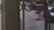Esenler'de Kayıp Olarak Aranan Çocuk, Polisi Görünce Kendini Tehdit Etti