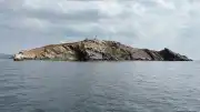 İstanbul'daki Tavşan Adası Neden Girişe Kapalı? İşte Sebebi