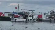 Marmara Denizi'nde Balıkçılar Sezonun İlk Ağlarını Bu Gece Denize Bırakıyor