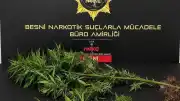 Adıyaman'da Narkotik ve Asayiş Uygulamalarında 53 Şüpheli Yakalandı, 11'i Tutuklandı