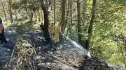 Ordu'nun Mesudiye İlçesinde Orman Yangını Söndürüldü