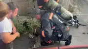Sakarya'da Yangın: Dumandan Etkilenen Kedi Kurtarılamadı