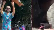 YouTuber H.K.'nın Yarasa Isırması Endişe Yarattı: COVID-19 Korkusu Canlandı