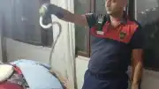 Hatay'da Yerleşim Yerlerine Giren Yılanlar İtfaiye Tarafından Doğaya Bırakıldı