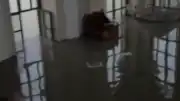 Kağıthane'de Sağanak Nedeniyle Dere Taştı, Tarihi Sadabad Camii'ni Su Bastı