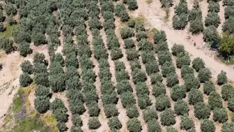 Osmaniye'de Kaçak Kazıya Dronla Baskın: 6 Gözaltı