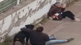Ümraniye'de Sahipsiz Rottweiler Küçük Köpeğe Saldırdı