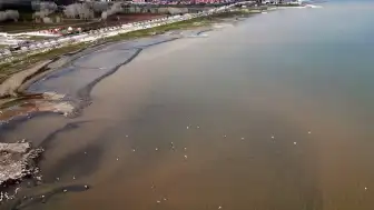 Van Gölü'nde Renk Değişikliği: Kahverengiye Dönen Kıyılar Endişe Yarattı