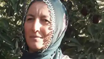 Aksaray'da Ağaç Kesimi Sırasında İş Cinayeti: Bir Kadın Hayatını Kaybetti