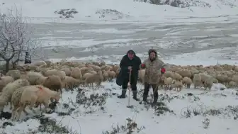 Tipi Nedeniyle Yaylada Mahsur Kalan Çobanlara ve Hayvanlara Ulaşıldı