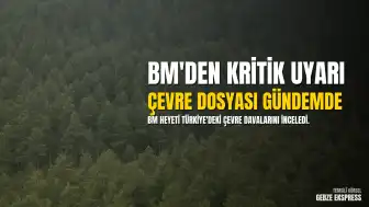 Birleşmiş Milletler'den Türkiye'ye Akbelen ve Marmaris Konusunda Uyarı: Çevre Savunucuları Dosyası BM Gündeminde