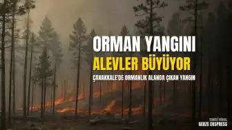 Çanakkale'de Orman Yangını: Musaköy ve Kızılkeçili Köyleri Arasında Alevler Yükseliyor
