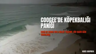 Coogee Sahili'nde Köpekbalığı Saldırısı: Bir Kadın Ağır Yaralandı