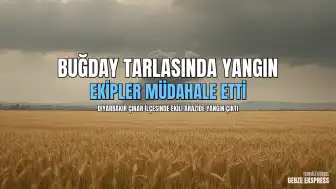 Diyarbakır Çınar'da Buğday Ekili Arazide Yangın Çıktı
