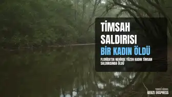 Florida'da Nehirde Yüzen Kadın Timsah Saldırısında Hayatını Kaybetti