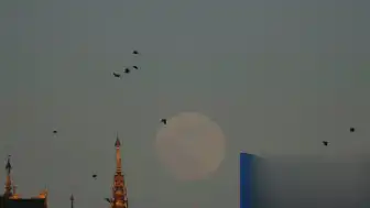 ABD Diplomatı Myanmar'da Ölü Bulundu, Polis Cinayet Şüphesiyle İnceleme Başlattı