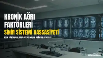 Kronik Ağrı Yönetiminde Sinir Sistemi ve Yaşam Koşullarının Rolü
