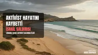 Lübnan'da Deniz Kaplumbağalarını Koruyan Aktivist İsrail Saldırısında Hayatını Kaybetti