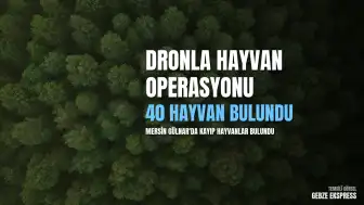 Mersin Gülnar'da Dron Desteğiyle Kaybolan 40 Küçükbaş Hayvan Bulundu