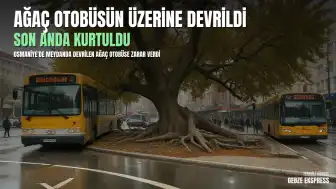 Osmaniye Cumhuriyet Meydanı'nda Çınar Ağacı Halk Otobüsünün Üzerine Devrildi