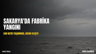 Sakarya'da Palet Fabrikasında Yangın: Can Kaybı Yaşanmadı