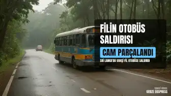 Sri Lanka'da Vahşi Filin Otobüse Saldırısı: Personel Taşıyan Araç Hasar Aldı