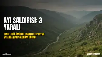 Tunceli'de Mantar Toplayan 3 Kişi Ayı Saldırısına Uğradı