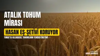 Tunus'ta Atalık Tohumların Korunması: Çiftçi Hasan eş-Şetivi'nin Miras Mücadelesi