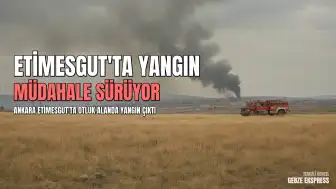 Ankara Etimesgut'ta Otluk Alanda Yangın Çıktı