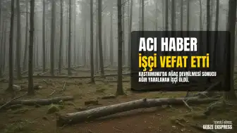 Araç ilçesinde ağaç devrilmesi sonucu yaralanan orman işçisi hayatını kaybetti