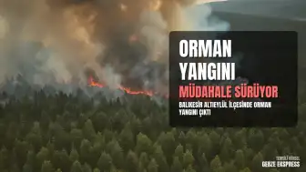 Balıkesir Altıeylül İlçesinde Orman Yangını Çıktı