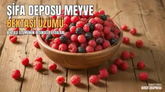 Bektaşi Üzümünün Sağlık Üzerindeki Etkileri ve Besin Değerleri İncelendi