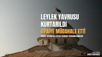 Bingöl Solhan'da yuvasından düşen leylek yavrusu itfaiye ekiplerince yuvasına yerleştirildi