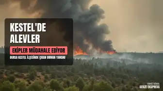 Bursa Kestel'de Orman Yangını: Ekiplerin Müdahalesi Sürüyor
